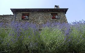 Agriturismo La Fontana Dell'Olmo