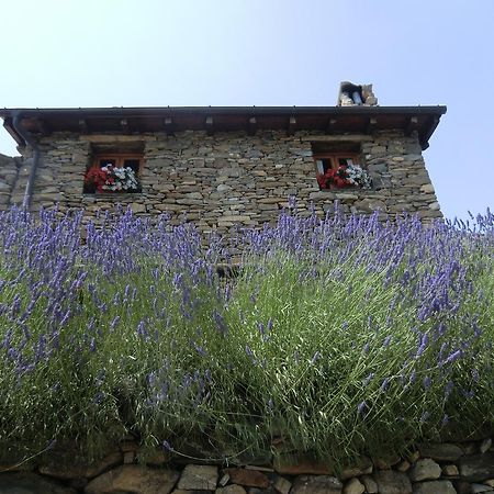 Agriturismo La Fontana Dell'Olmo Hotel Molini di Triora Esterno foto