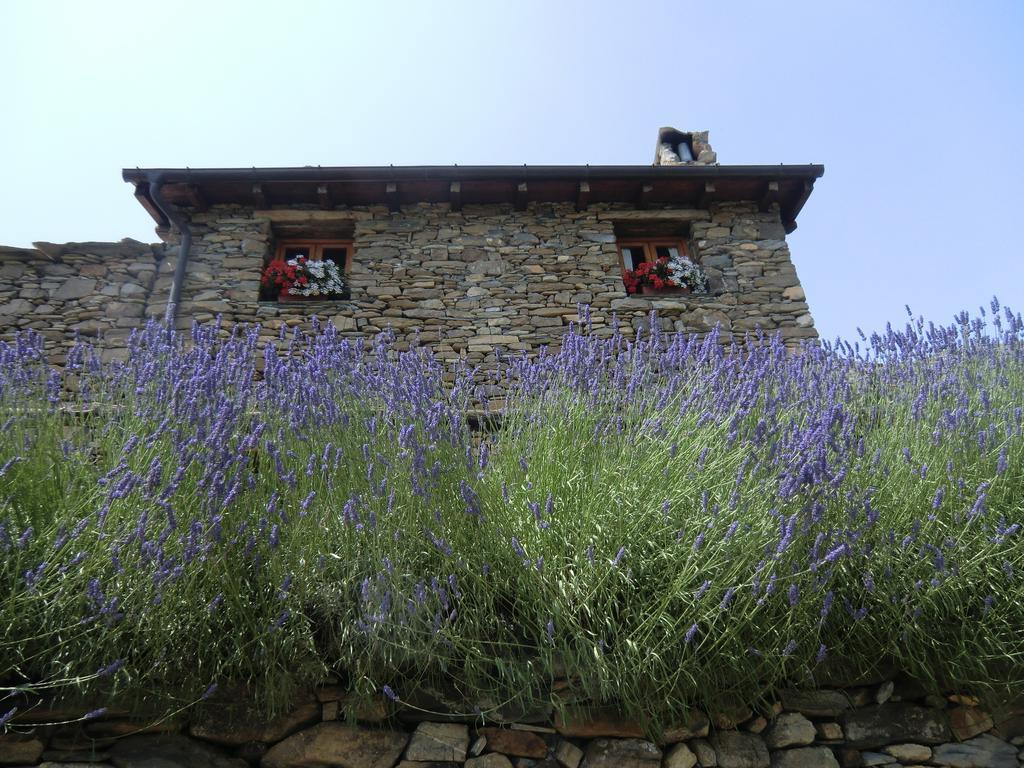 Agriturismo La Fontana Dell'Olmo Hotel Molini di Triora Esterno foto